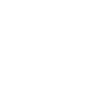 CAS Antena LTE Base Magnética TNC-M